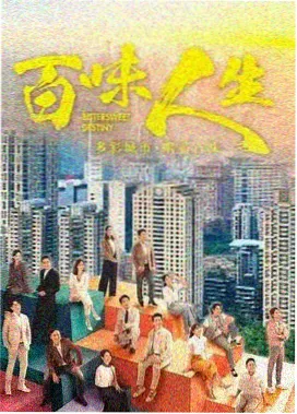 热播都市剧